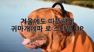 겨울에도 따뜻하게! #귀마개네파 로 스타일 UP! 🎧❄️