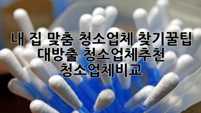 내 집 맞춤 청소업체 찾기🧹꿀팁 대방출! #청소업체추천 #청소업체비교