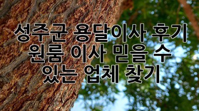 성주군 용달이사 후기: 원룸 이사, 믿을 수 있는 업체 찾기!